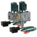 Garland GAR1754901 1/2 inch Fpt 25 Volt Dual Gas Solenoid Valve