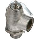 Groen GROZ011004 Steam Safety Pressure Relief Valve, 3/4 inch Male x 3/4 inch Female