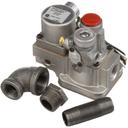 Groen GROZ097001 120 Volt 1/2 x 3/4 inch Fpt Baso Natural Gas/LP Safety Valve