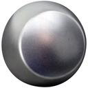 Rational RAT16.02.062P Dial