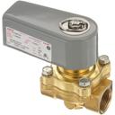 Stero STR0P-542815 120 Volt 3/4 inch Hot Water Solenoid Valve