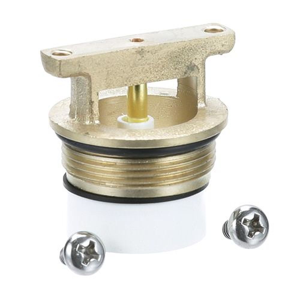 T and S Brass TSBB-0969-RK01 Vacuum Breaker Repair Kit, 1/2 inch