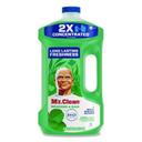 Mr Clean Meadows and Rain Multipurpose Cleaning Solution, 64 Ounce -- 4 per case