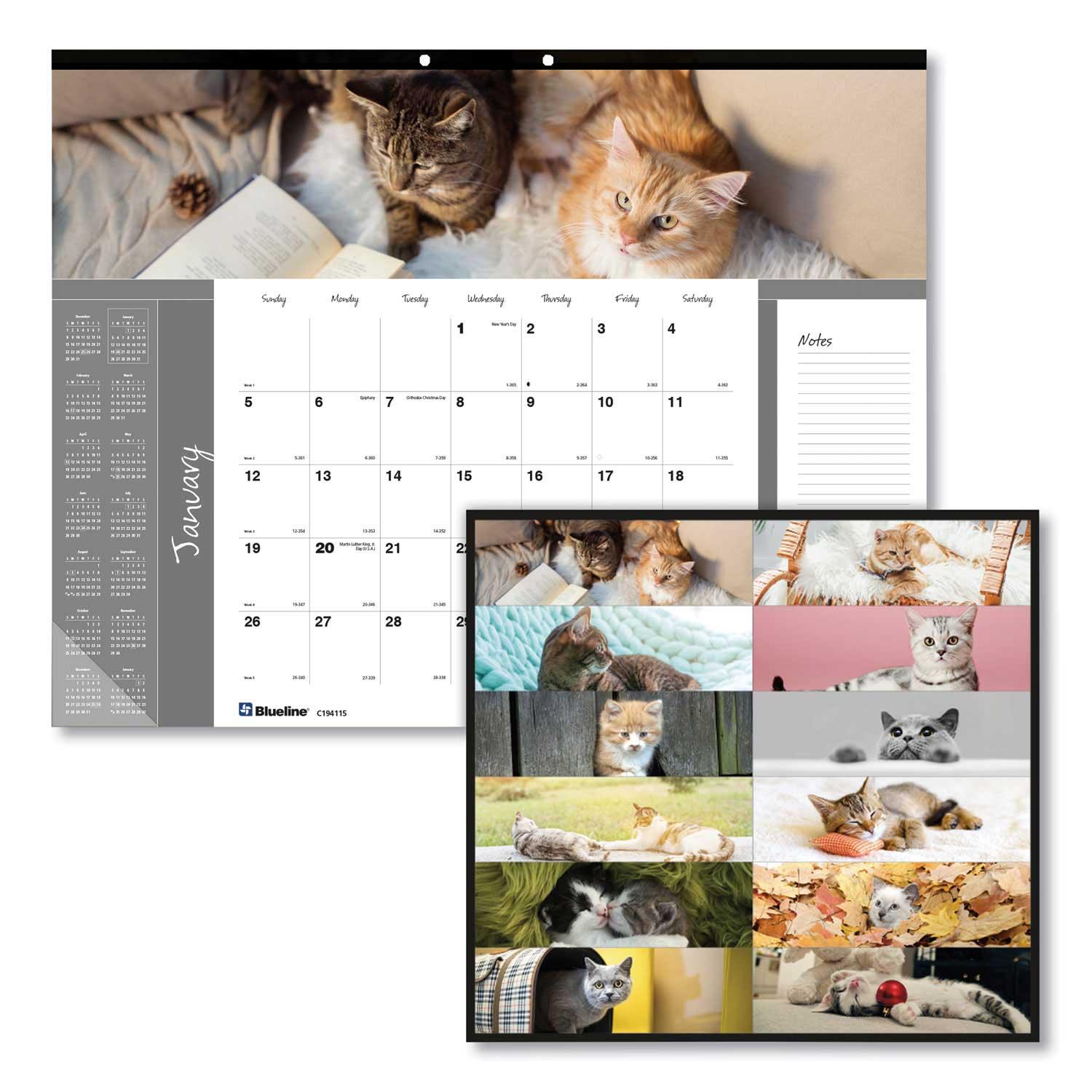 Product gallery 2271042