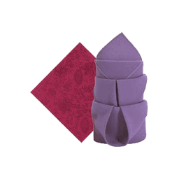Contains 1 Napkins and Towels products