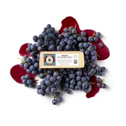 Product thumb gallery 871060152