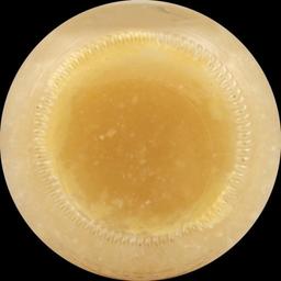 Product thumb gallery 523364219