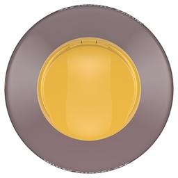 Product thumb gallery 569015158