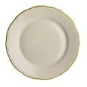 Styleline Old Gold China 10 5/8 inch Oval Platter, 12 count