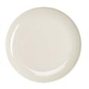 Flipside 9 inch China Plate, 24 count