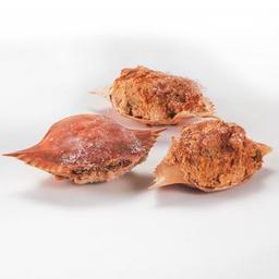 Product thumb gallery 532915859