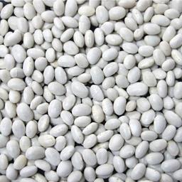 Product thumb gallery 506764213