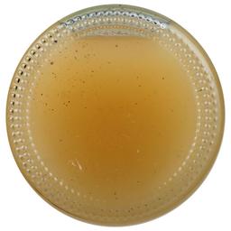 Product thumb gallery 878398208