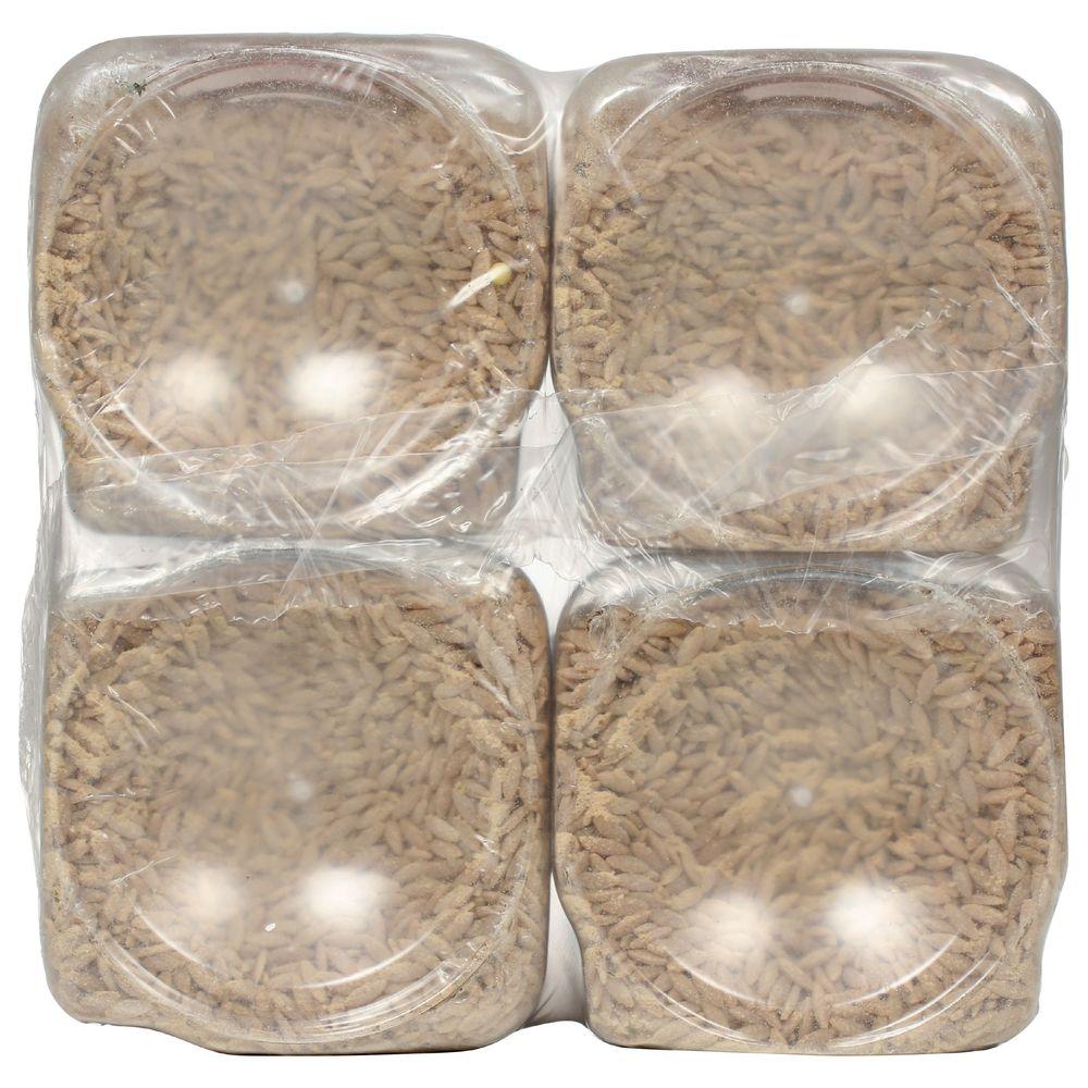 Product gallery 650869089