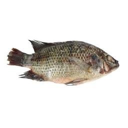 Product thumb gallery 838176084