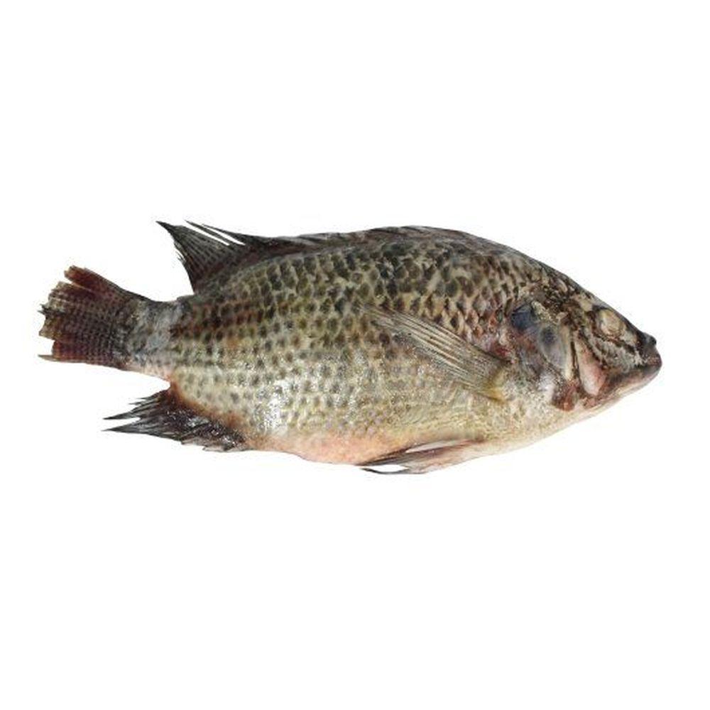 Product gallery 838176084