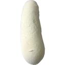 Sour Dough Bread Dough