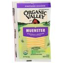 Muenster Cheese Slice