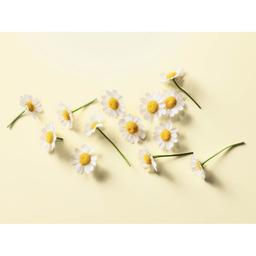 Product thumb gallery 110003136