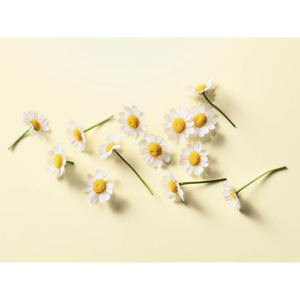 Product gallery 110003136