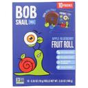 Apple Blueberry Fruit Rolls