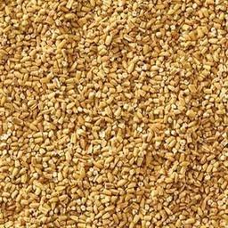 Product thumb gallery 512103145