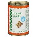 Organic Lentils