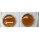 Maple Inclusion and Variegate
