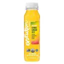 Organic Citrus Ginger Zest Cold Pressed Juice Blend