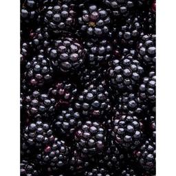 Product thumb gallery 506115560