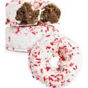 Peppermint Chocolate Donut