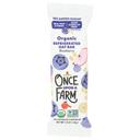 Blueberry Oat Organic Bar