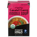 Organic Coconut Curry Noodle Soup