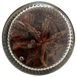 Product thumb gallery 342513820