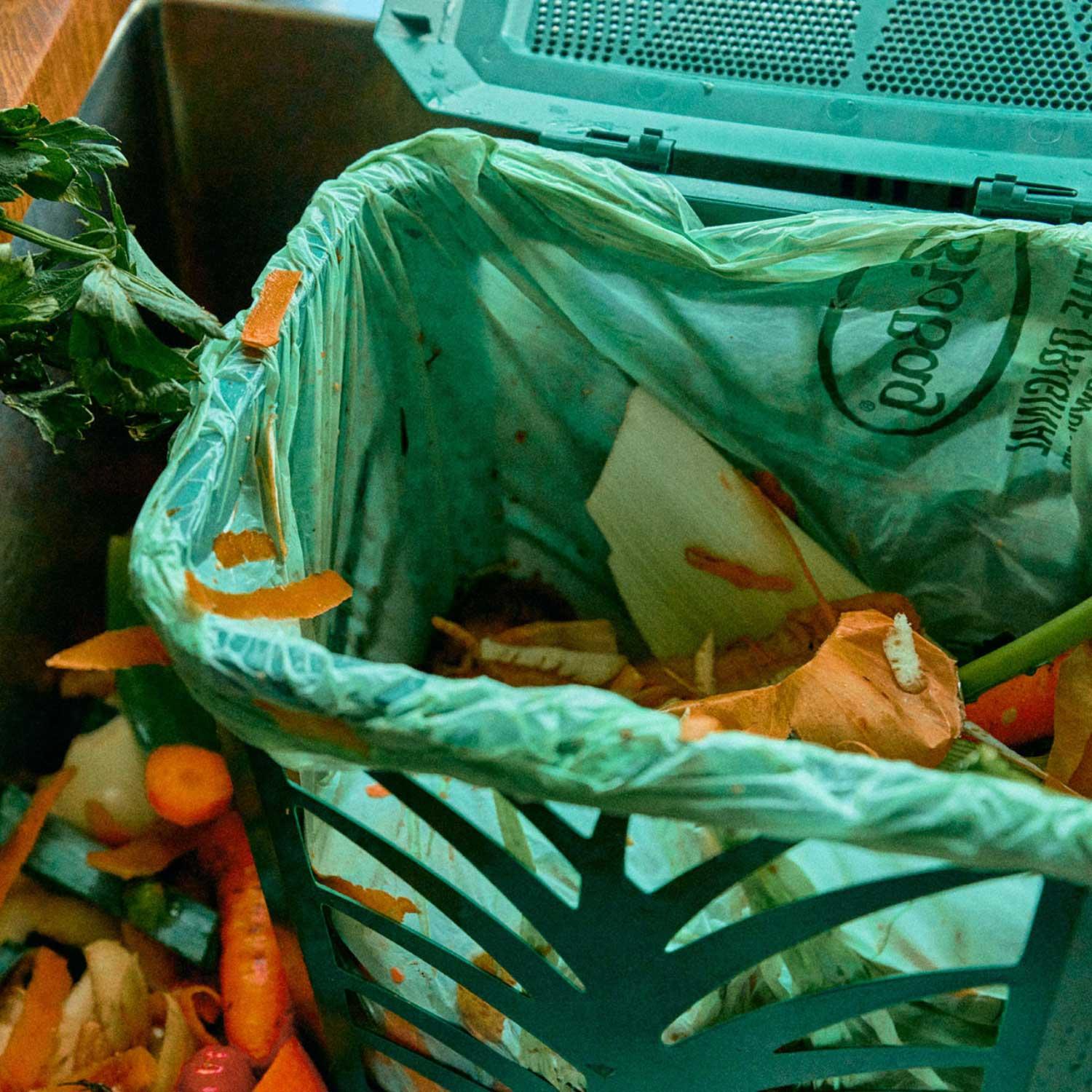 Product gallery 988511248