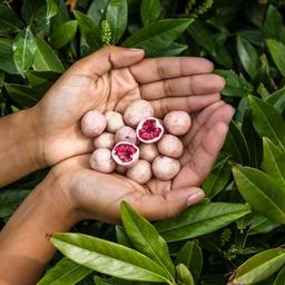 Product thumb gallery 946530149