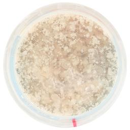 Product thumb gallery 331038600