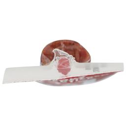 Product thumb gallery 582334413