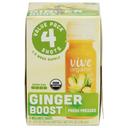 Fresh Pressed Ginger Boost Wellness Shot