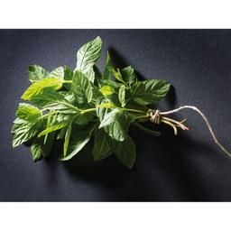 Product thumb gallery 625874531