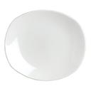 Taste Alumina Vitrified 10 x 9 inch Spice Plate, 24 count