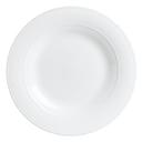 Aura 10.5 inch Porcelain Flat Mid Rim Plate, 12 count