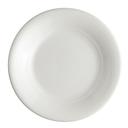 Carina 8.25 inch Plate, 24 count