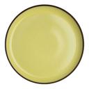 9.5 inch Saffron Plate