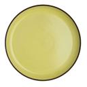 10.75 inch Saffron Plate