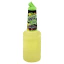 Margarita Mixer