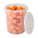 Translucent 12/18/22 Qt Round Plastic Container Cover -- 6 per case