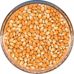 Product thumb gallery 439368769