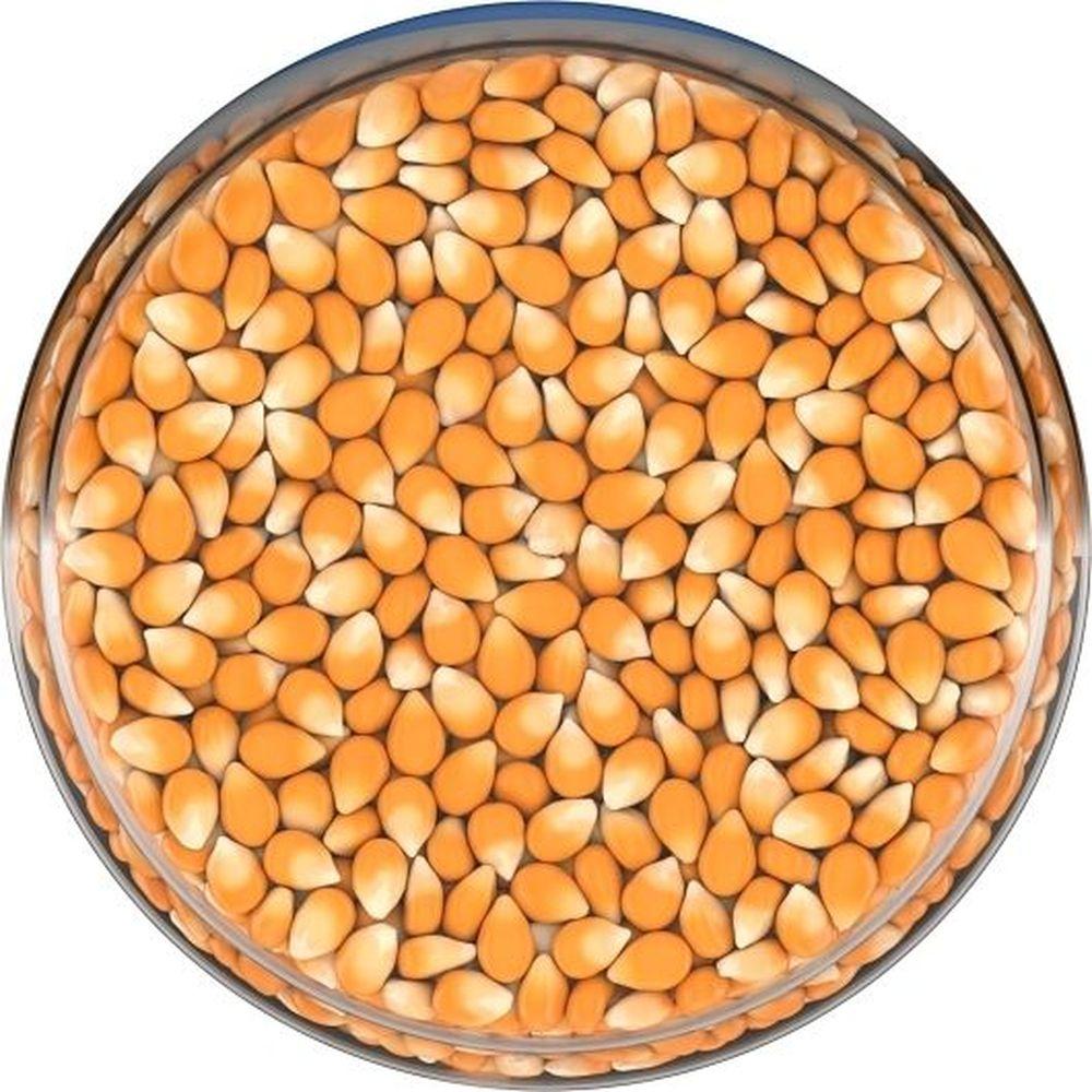 Product gallery 439368769