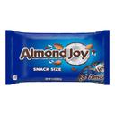 Coconut and Almond Chocolate Snack Size Candy Bar